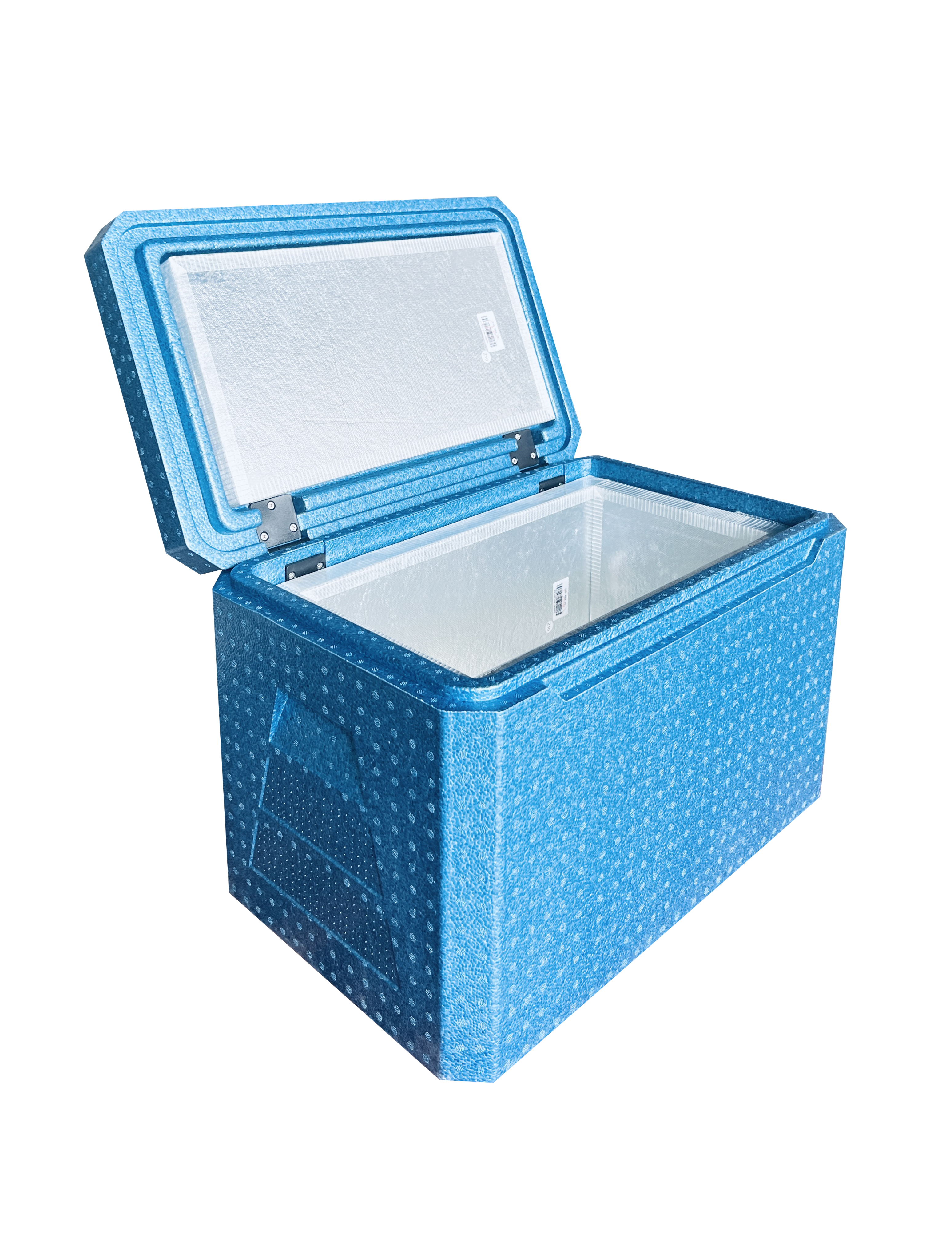 Epp Cool Box