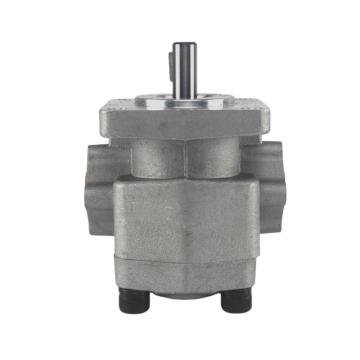 Ten Chinese Micro Gear Pump Suppliers Popular in European and American Countries