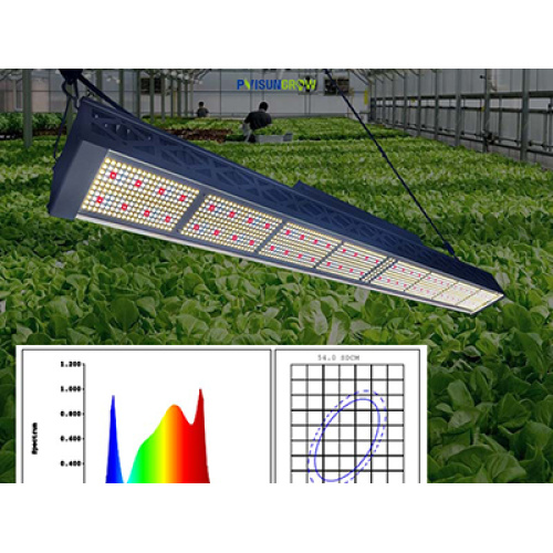 ความแตกต่างระหว่างผลกระทบของไฟ LED Grow และแสงแดดคืออะไร?