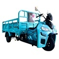 High Quality 200cc Cargo Tricycle Motorbike for Sale in Cote d'Ivoire1