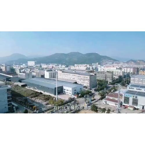 введение компании