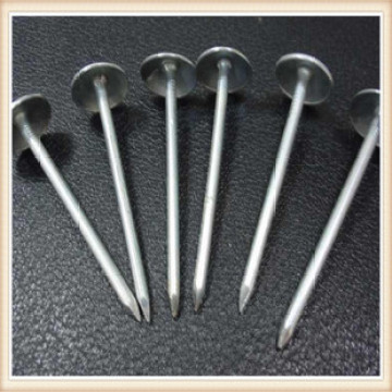 Ten Chinese Iron Nail Suppliers Popular in European and American Countries