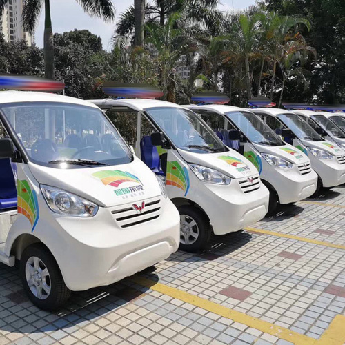 Electric Sightseeing Car become a new step for tourists