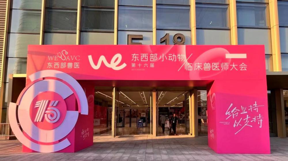 Exhibition Site 8