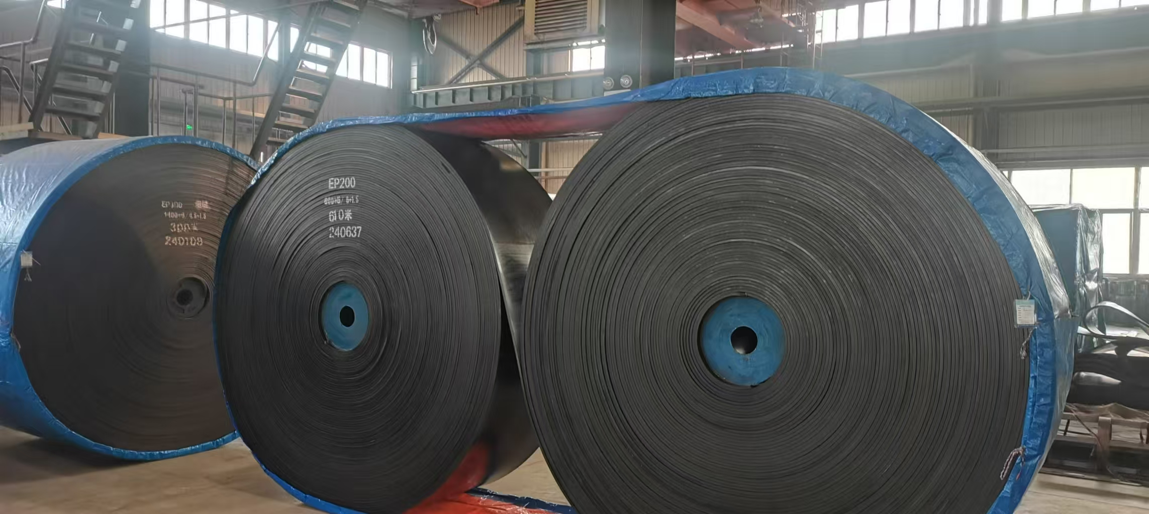 Endless Conveyor Belt