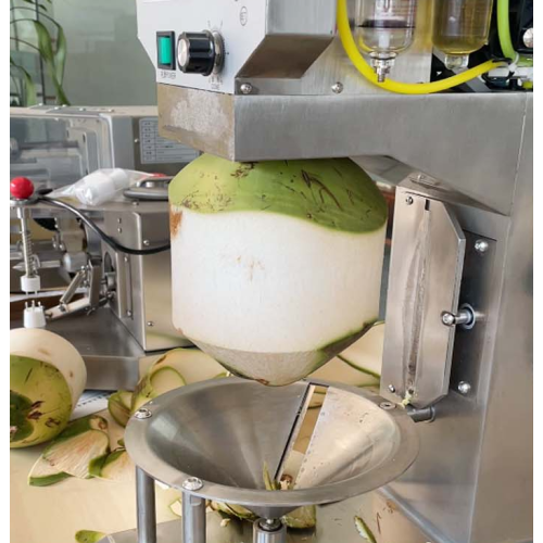 ST-XPC-5 Coconut Peeling Machine