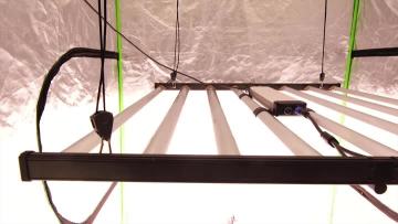 foldable led grow light LED