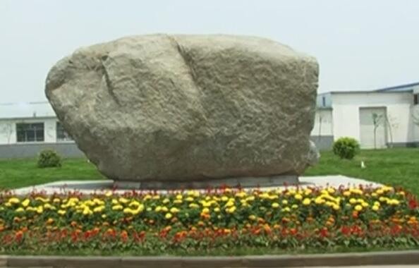 Hebei Tomato Industry Co., Ltd.
