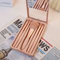 Wholesale ABS Material Makeup Brush Case with Mirror and 5 Eye Shadow Foundation Tools for Travel1