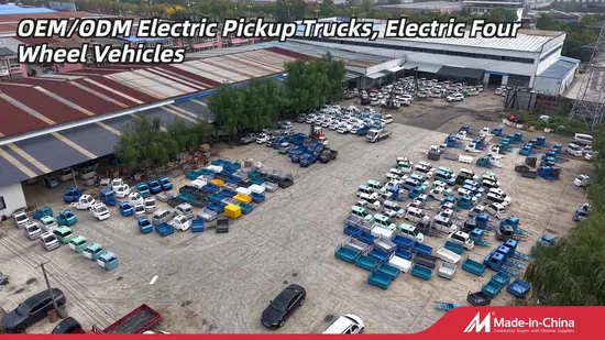Newenergycar Electric Kecil Mini Peti Sejuk Kenderaan Lori Elektrik+Kereta 2 Tempat Duduk 4 Roda Kenderaan Tenaga Baru Kereta Elektrik1