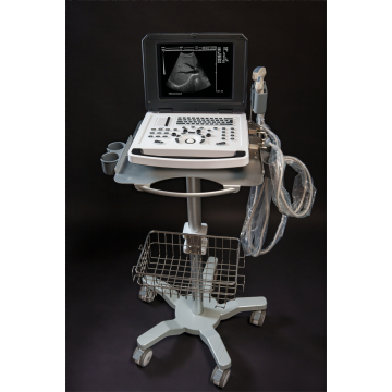 China Top 10 Human Ultrasound Scanner Brands