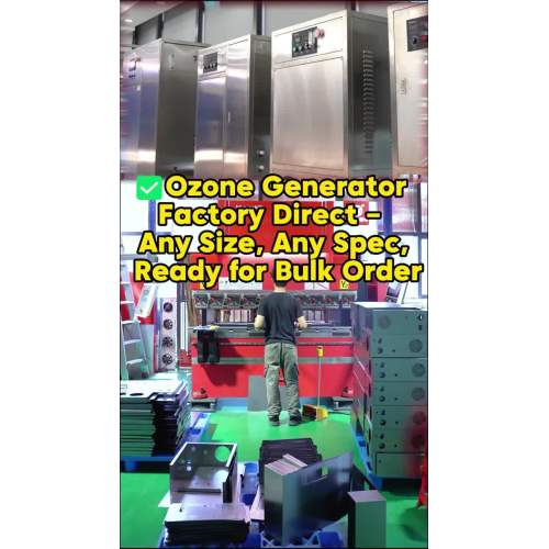 Générateur d'ozone personnalisé - N'importe quelle taille, n'importe quelle spécification, usine directe