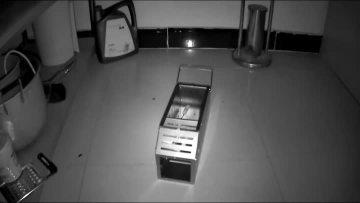 rat traps uk
