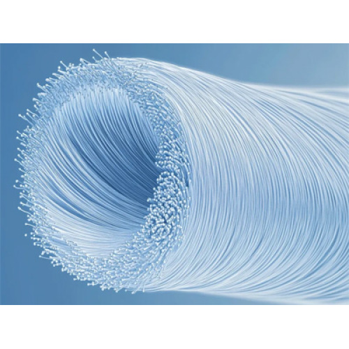 นวัตกรรมที่เป็นมิตรต่อสิ่งแวดล้อมและความต้องการระดับสูงผลักดันให้เกิดความเจริญรุ่งเรืองของตลาดไฟเบอร์เคมีทั่วโลกในปี 2569