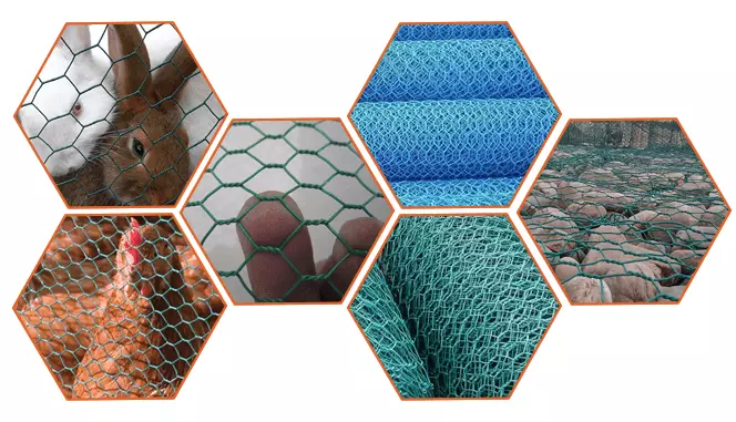 chicken wire mesh 