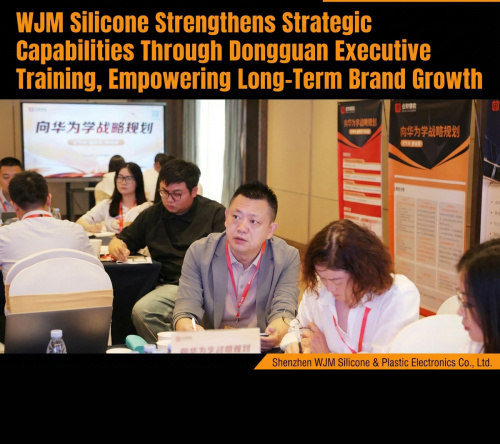 WJM Silicone Enhances Strategic Planning Through Dongguan Training | OEM Silicone Protective Case Manufacturer