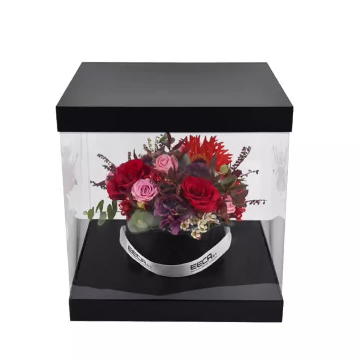 정사각형 검은 꽃 상자 투명 플라스틱