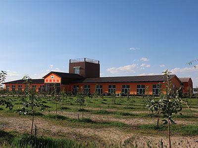 Ningxia hongxingda fruit industry
