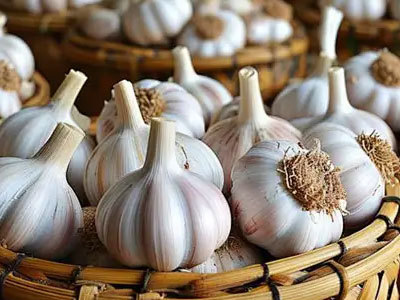 Indústria Global de Alho 2026: Produção Constante, Processamento de Valor Agregado e Comércio Global Impulsionam o Desenvolvimento Sustentável