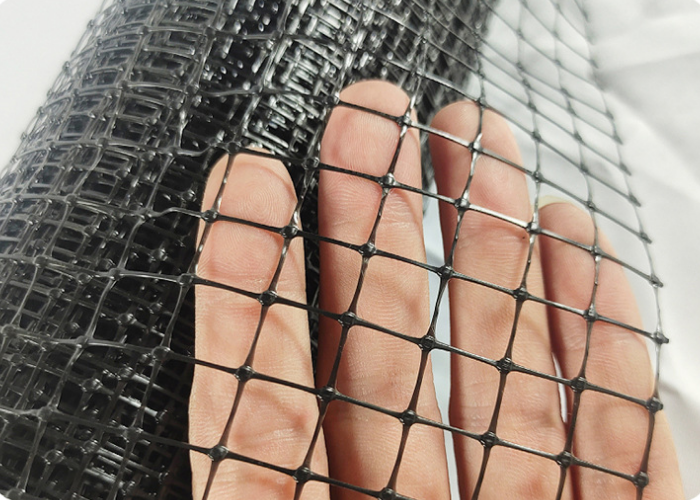 Rede de guarda negra