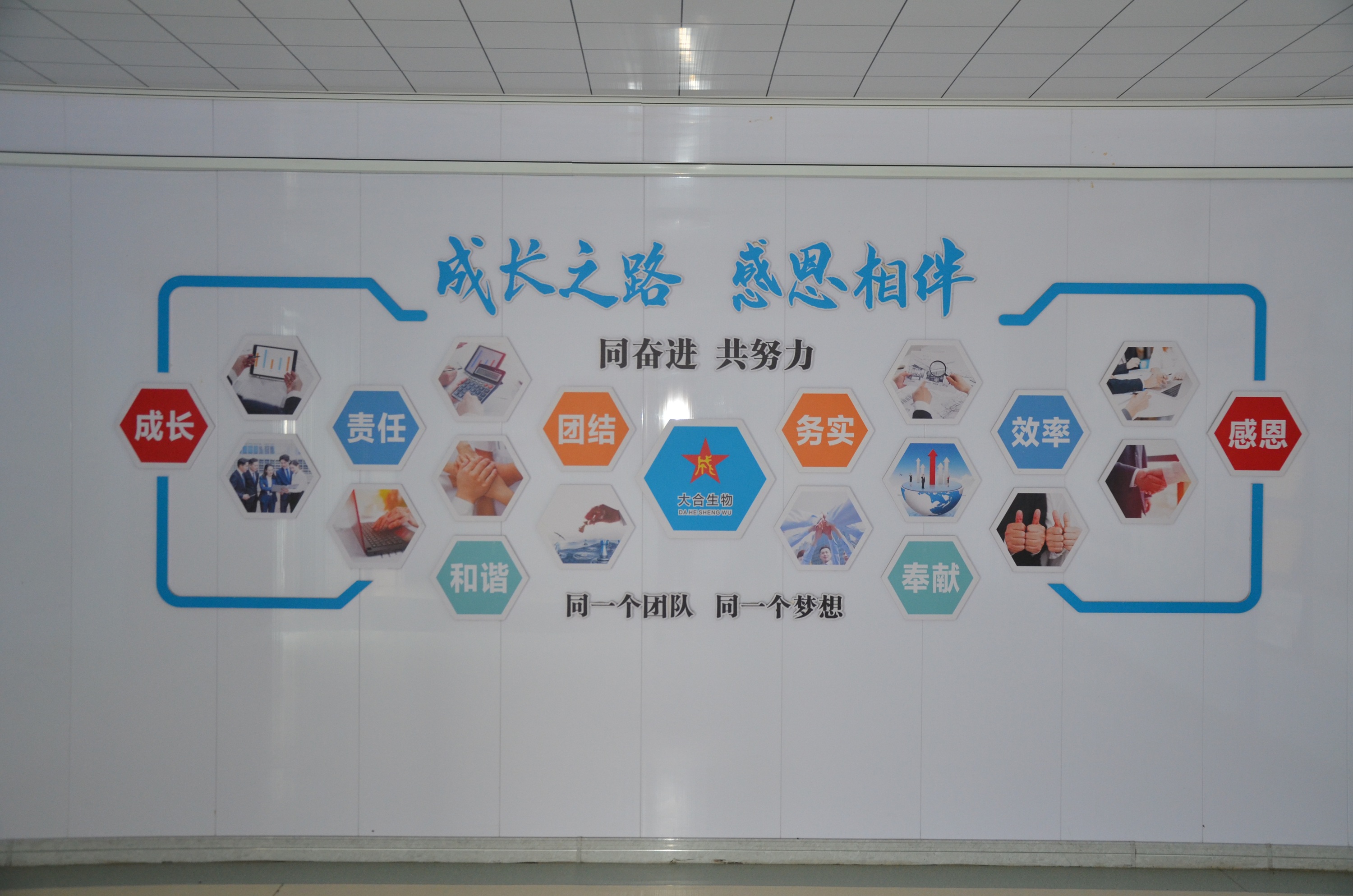 Changchun Dacheng lndustrial Group International Trade Co., Ltd.