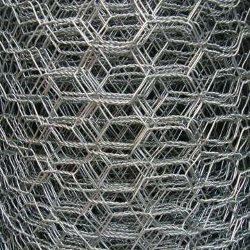 Ten Chinese Hexagonal Wire Netting-Galvanized Before Weave Suppliers Popular in European and American Countries