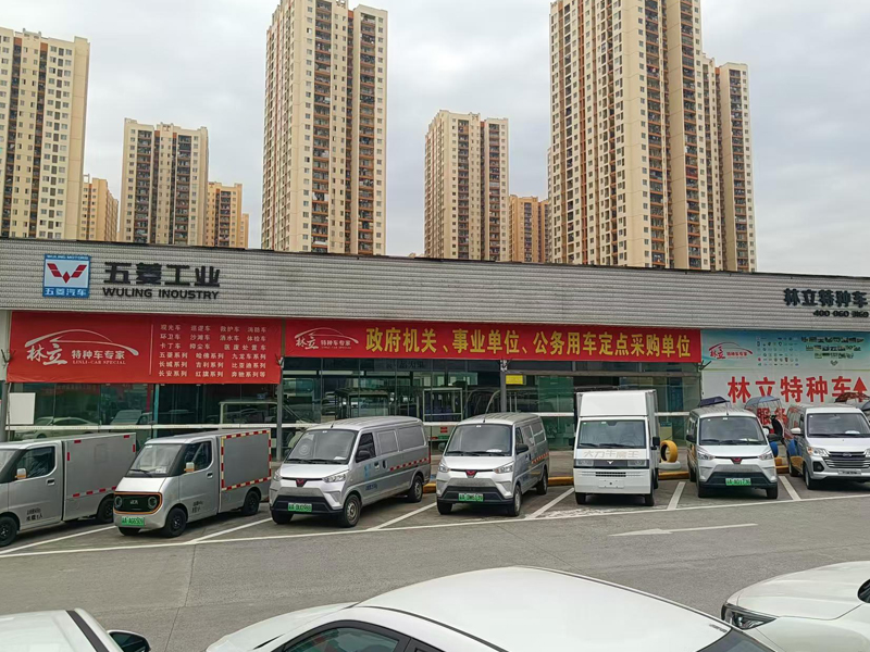 Chongqing Linli Automobile Sales and Service Co., Ltd.