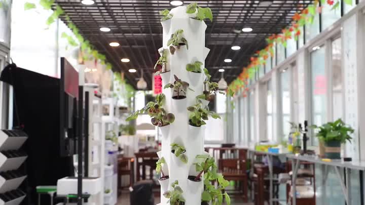 Hydroponics