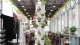 Strawberry Aeroponic Systems Vertical Growing Tower