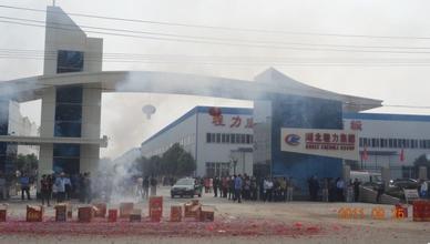 chengli truck limited company