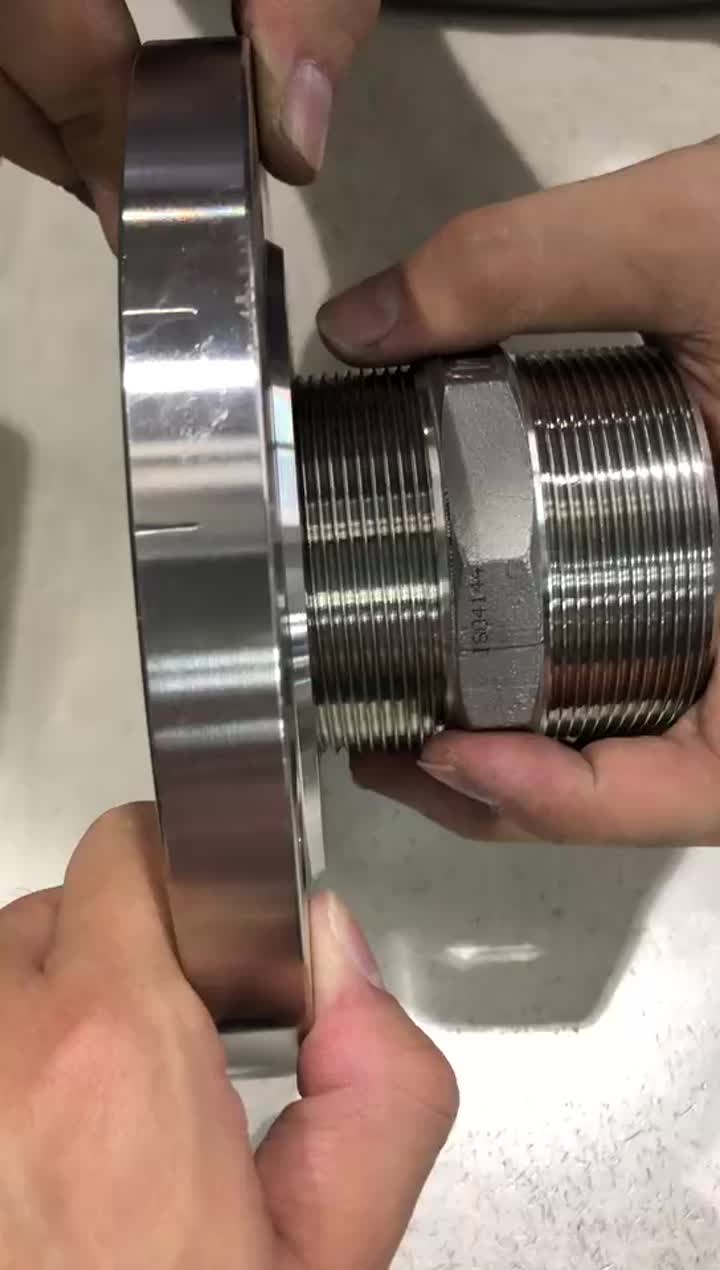 304 Flange filettate 1