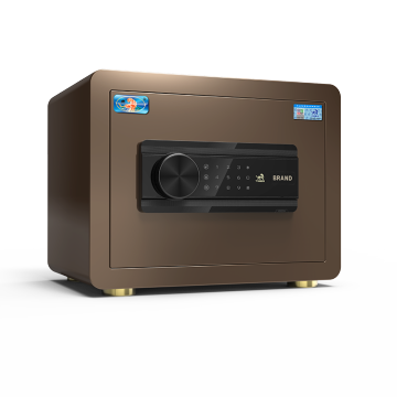 China Top 10 Small Electronic Safe Box Brands