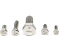 Vibration Damping 2-3/4" ASME B18.2.1 B805 N09925 S17400 Hexagonal Head Screw with Cap1