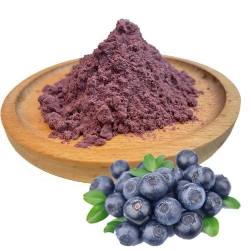 Faedah serbuk blueberry liar: superfood untuk kesihatan anda