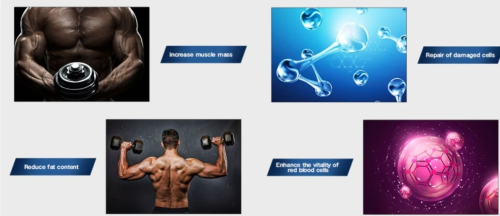Peptides are very important products.
