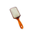 Wholesale Amber Detangling Hair Brush: Custom Options Available1