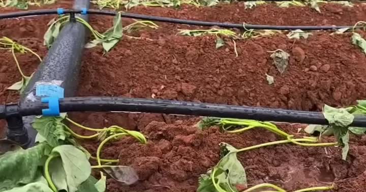 drip irrigation pipe