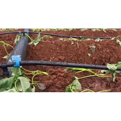 Pipe de irrigação de gotejamento