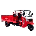DAYANG China Delivery Big Wheels Tricycle Price in Cameroon1