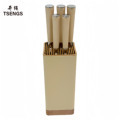 Professional Chef Knife Set with 3CR13 Steel Blades - Must-Have Five Knives with Holder at Factory Price1
