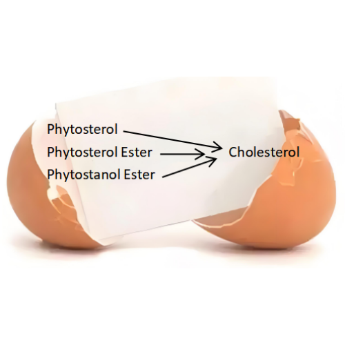 อะไรคือความแตกต่างกับ Phytosterol, Phytosterol Ester และ Phytostanol Ester?