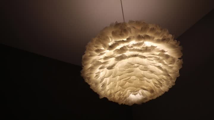 White feather lampshade E27 chandelier