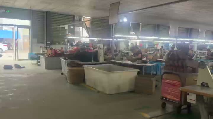 Video Universal Test 1 (4)