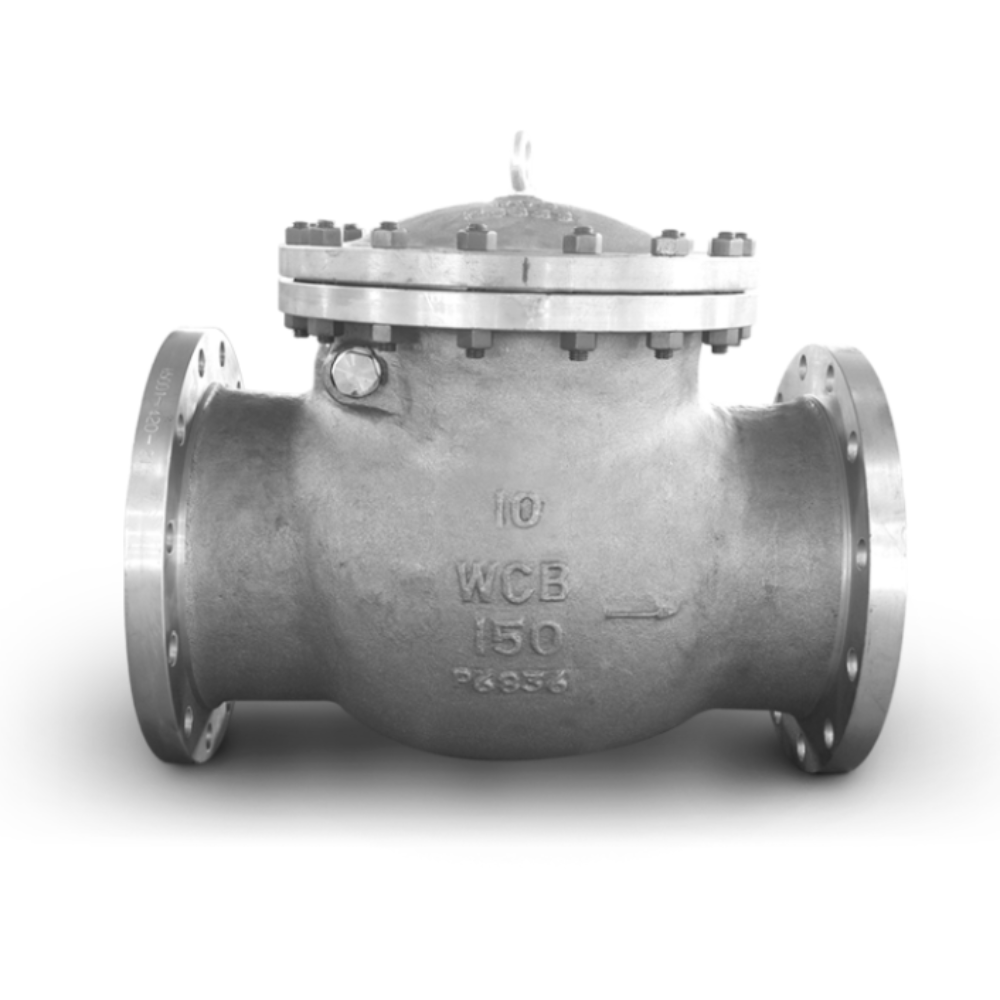 Check Valve