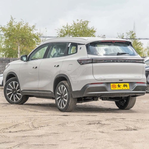 Problems in the development of New Cars