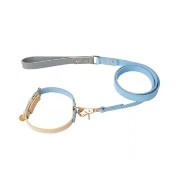 China Top 10 Multifunctional Pet Leash Potential Enterprises