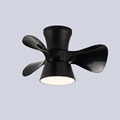 Ultra-Thin Frequency Conversion Silent Ceiling Fan Light for Bedroom and Children's Room1
