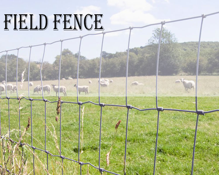 FIELD FENCE