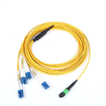 MPO-LC 12 Core Singlemode G657A Fiber Optic Patch Cord1