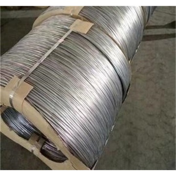 Ten Chinese Electro Galvanized Coil Wire Suppliers Popular in European and American Countries